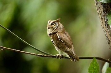 _DSC1050a__DSC1050aa