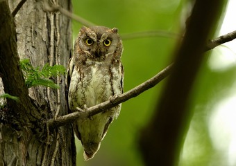 _DSC0854a__DSC0854aa