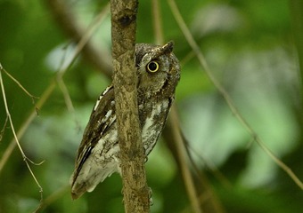 _DSC0963a__DSC0963aa