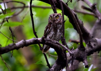 _DSC0558a__DSC0558aa