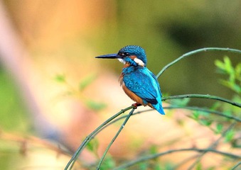 _DSC0448a_2816_