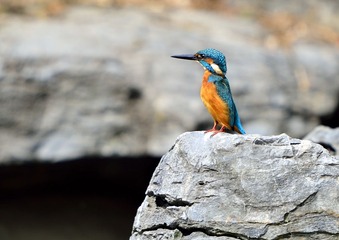 _DSC9273a_2658