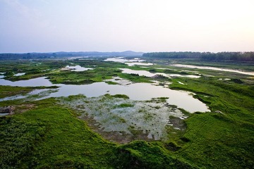 rtPS_0297_800.jpg
