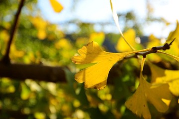 DSC_2635.jpg