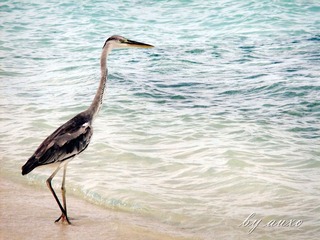 DSCF2034_