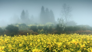 “_E0A1606”为智能对象-1