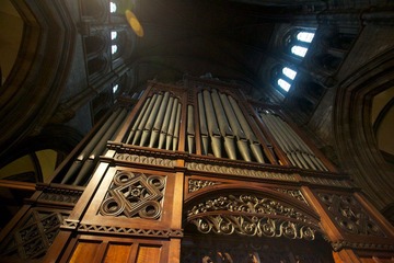 IMG_6016.jpg