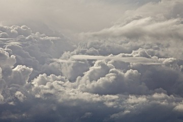IMG_0931.jpg