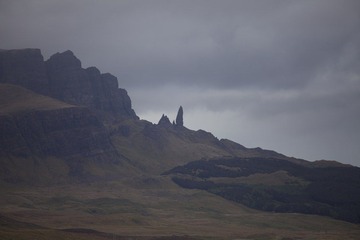 IMG_1875.jpg