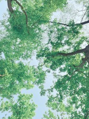4248DA03-9F7A-4BB6-AE85-C36DD3E49C53/L0/001