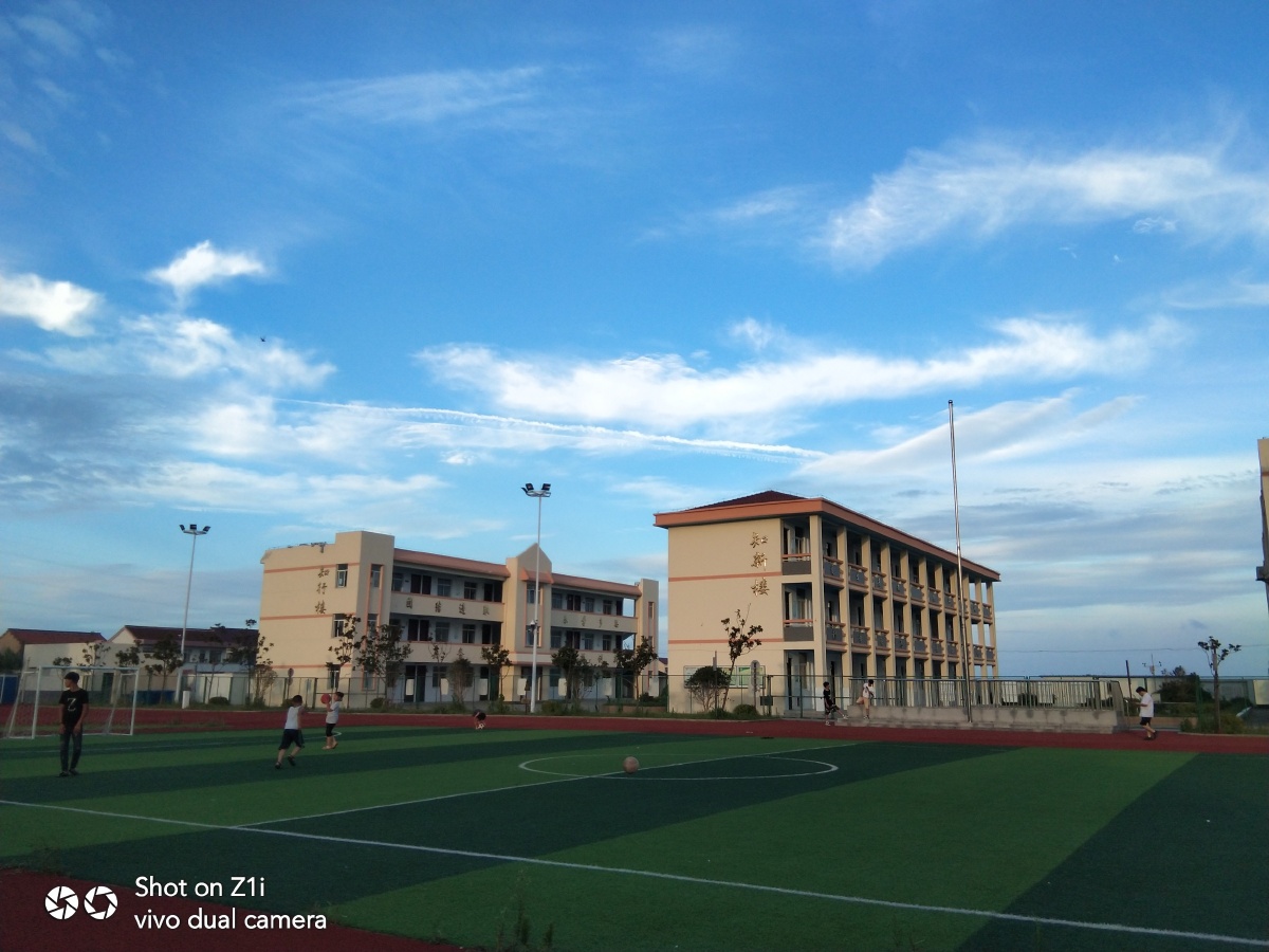 启东市东海小学了解一下.