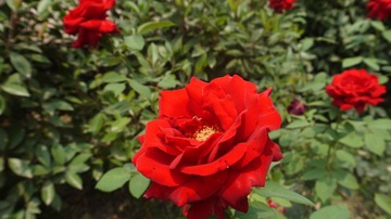 P1020206