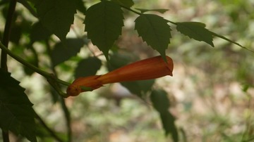P1020210