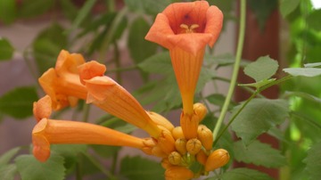 P1020211
