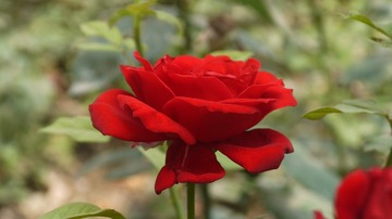 P1020212