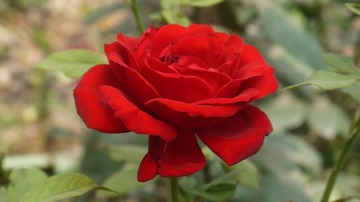 P1020213