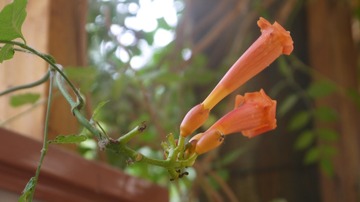 P1020215