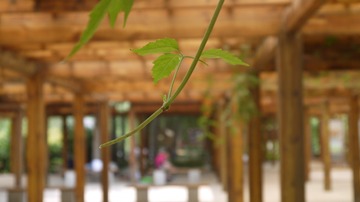 P1020220