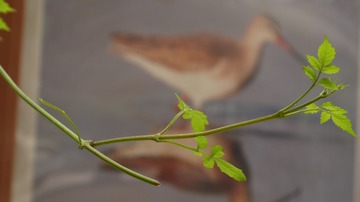 P1020221