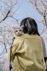 7344FA29-21B4-451C-965A-75ADBA998E90/L0/001