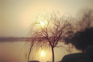 DSC047r33_
