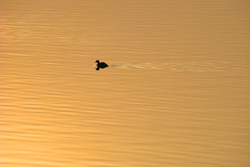 DSC04729_