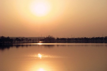 DSC04731_