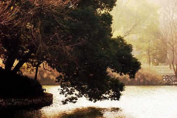 DSC04347_