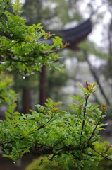 AA424169-D556-4E2E-AD3D-2E24DC62BB56/L0/001