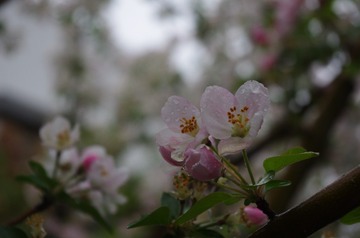 86609CB9-7E1D-44EE-B818-2893D168097F/L0/001