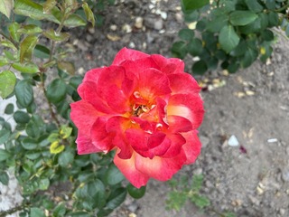 001