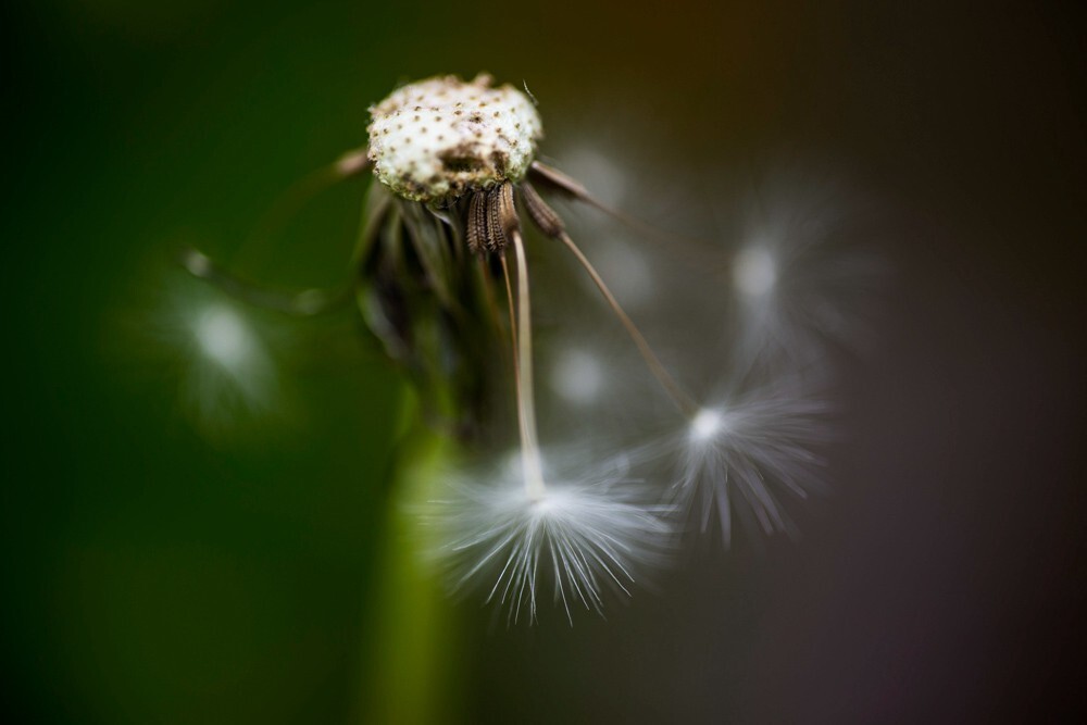 5d3+100/2.8apo