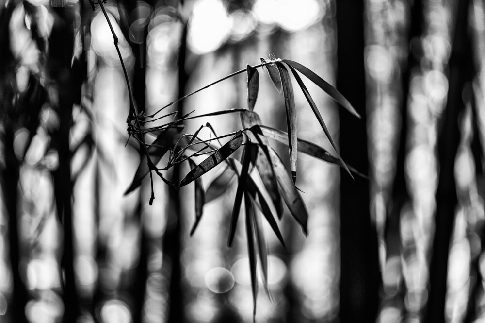 m9+75/1.4