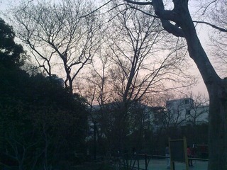 虹口公园