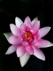 6F9D2005-69BB-4617-ACBB-AC9AA350695B/L0/001