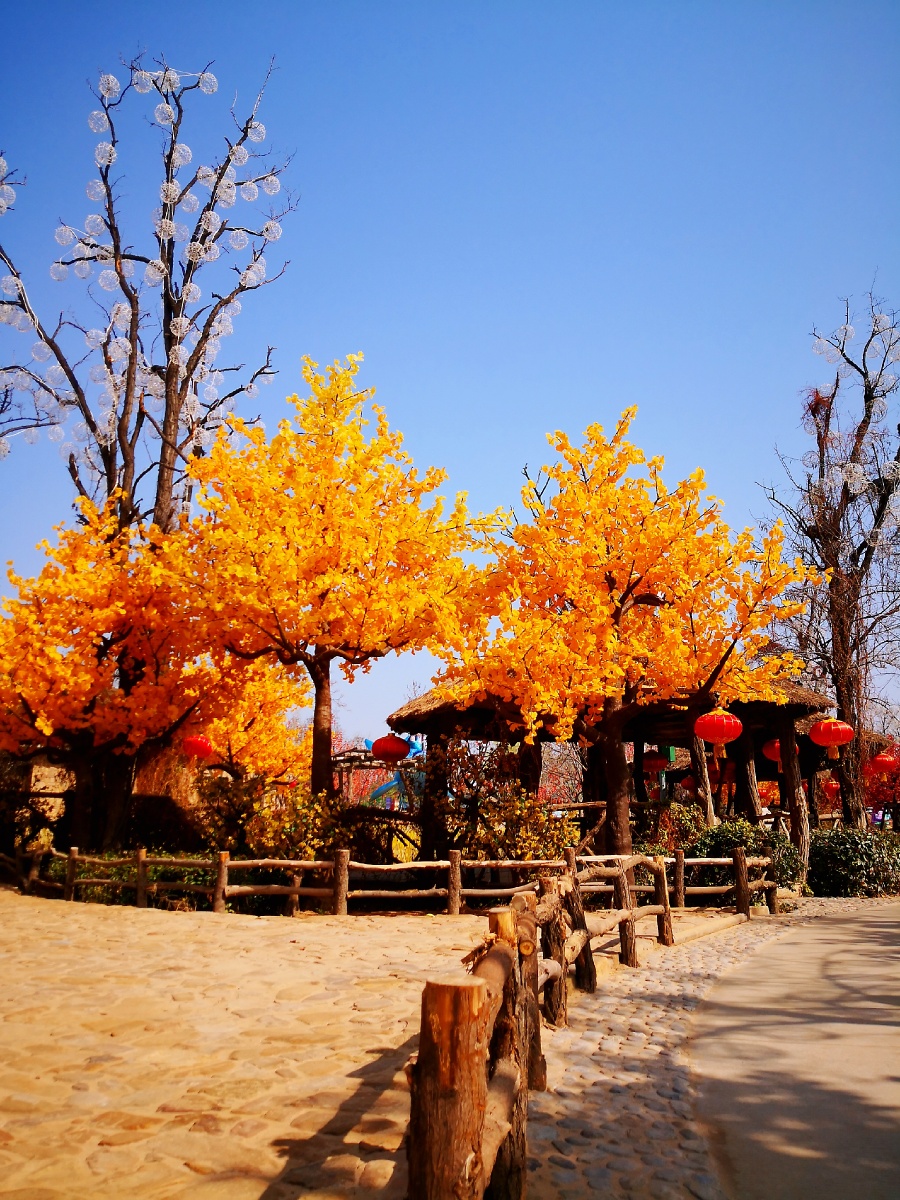 开封万岁山 - 燎原之火