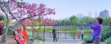 在那桃花盛开的地方