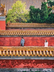 《自古逢秋悲寂寥，我颜秋日胜春潮》