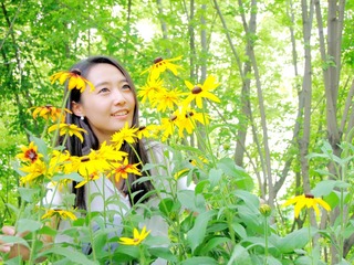 太阳花开