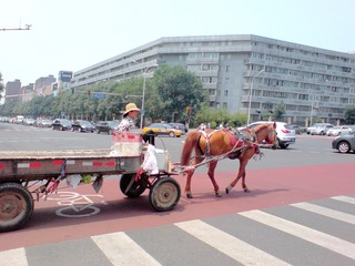 走红毯