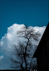 20140403-QQY_1253