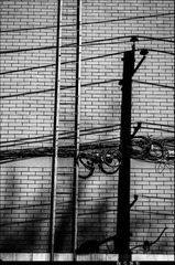 20140403-QQY_1282