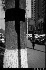 20140403-QQY_1326