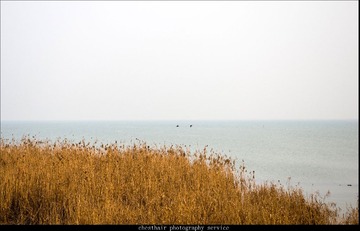 20140117-IMGP0317