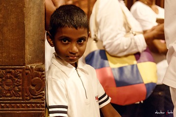 Kandy-7312