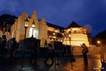 Kandy-7298
