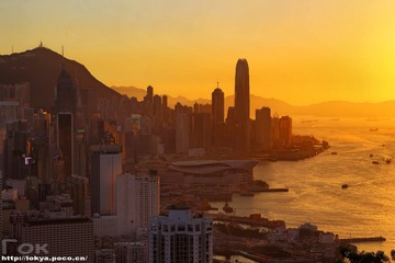 金色港岛