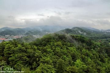 云山云雾