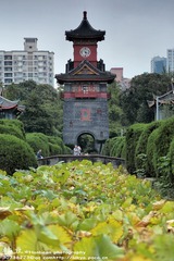华西坝秋色