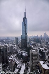 雪中紫峰-鹤立鸡群